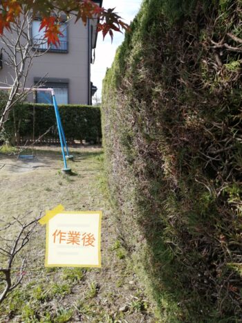 磐田市　庭木の剪定